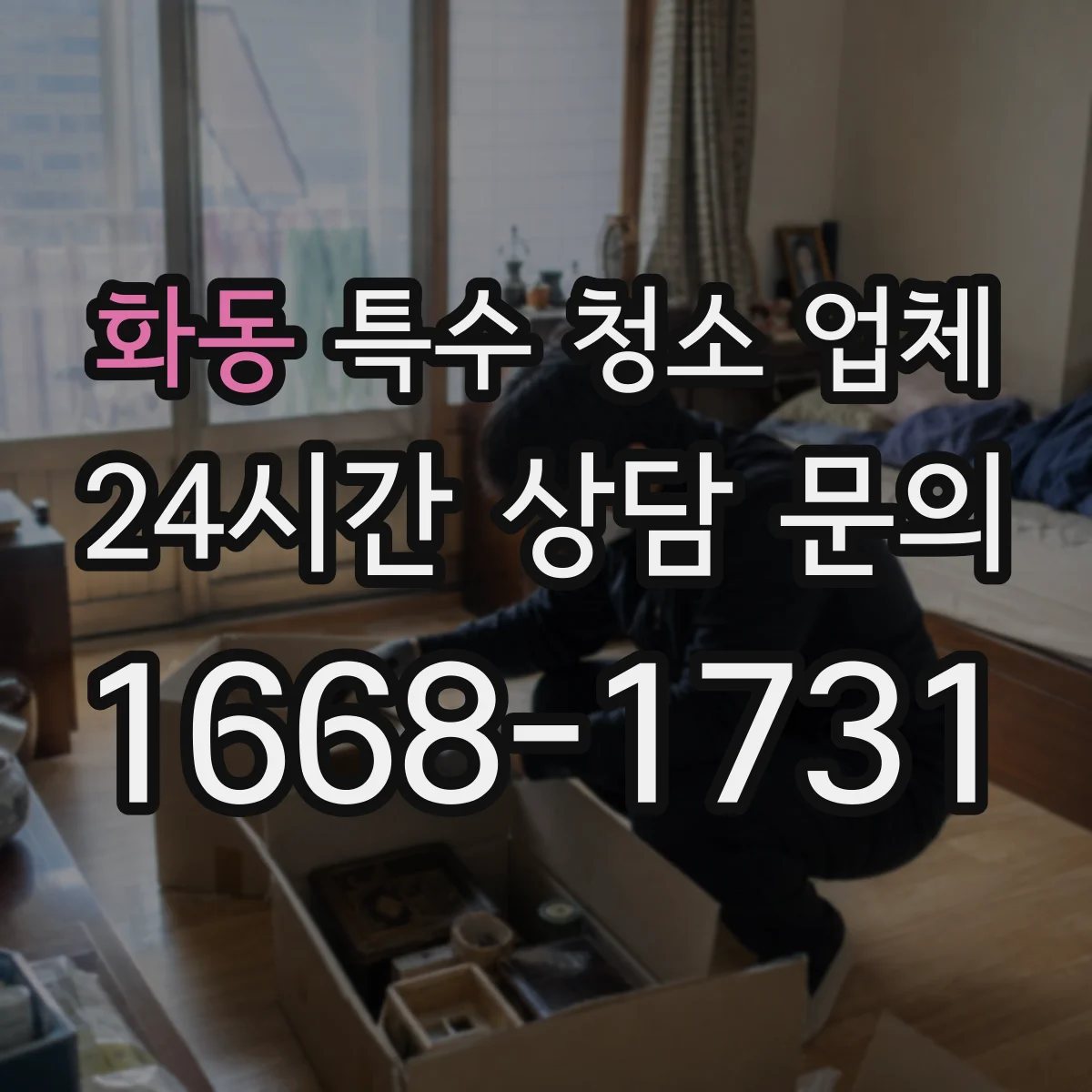 화동 특수 청소 업체