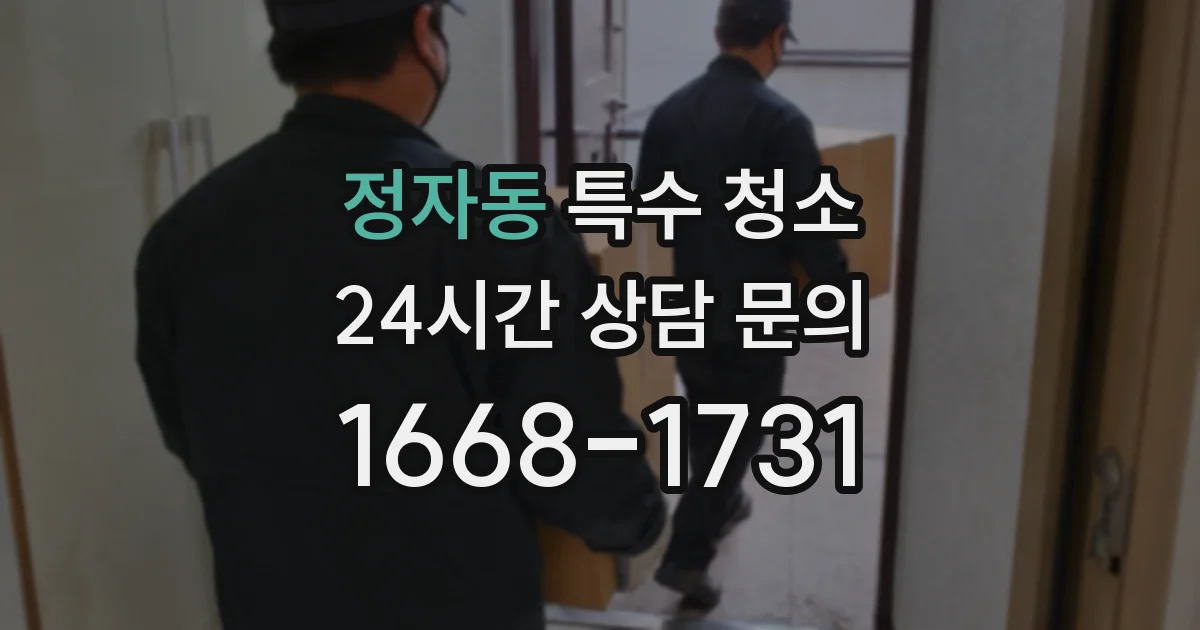 정자동 특수 청소