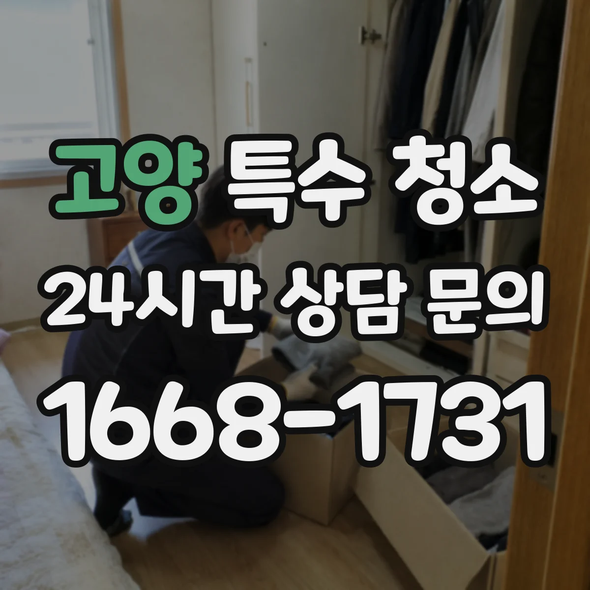 고양 특수 청소 곰팡이 흔적 확산을 막는 벽면 처리
