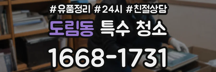 도림동 특수 청소
