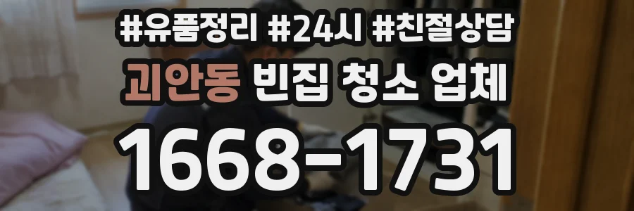 괴안동 빈집 청소 업체