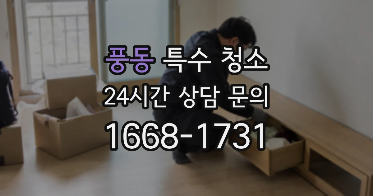 풍동 특수 청소
