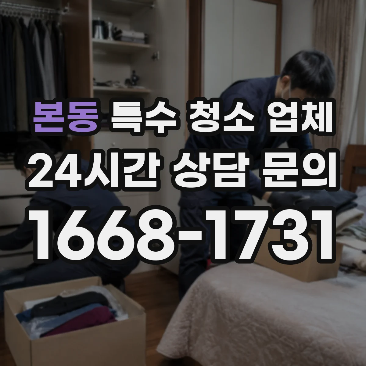 본동 특수 청소 업체