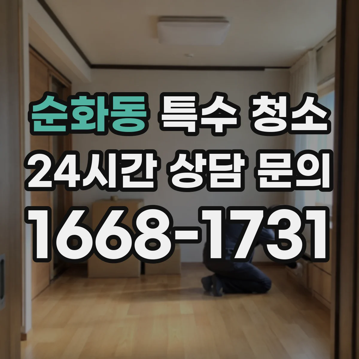 순화동 특수 청소