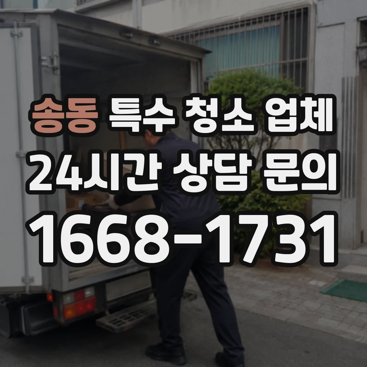 송동 특수 청소 업체