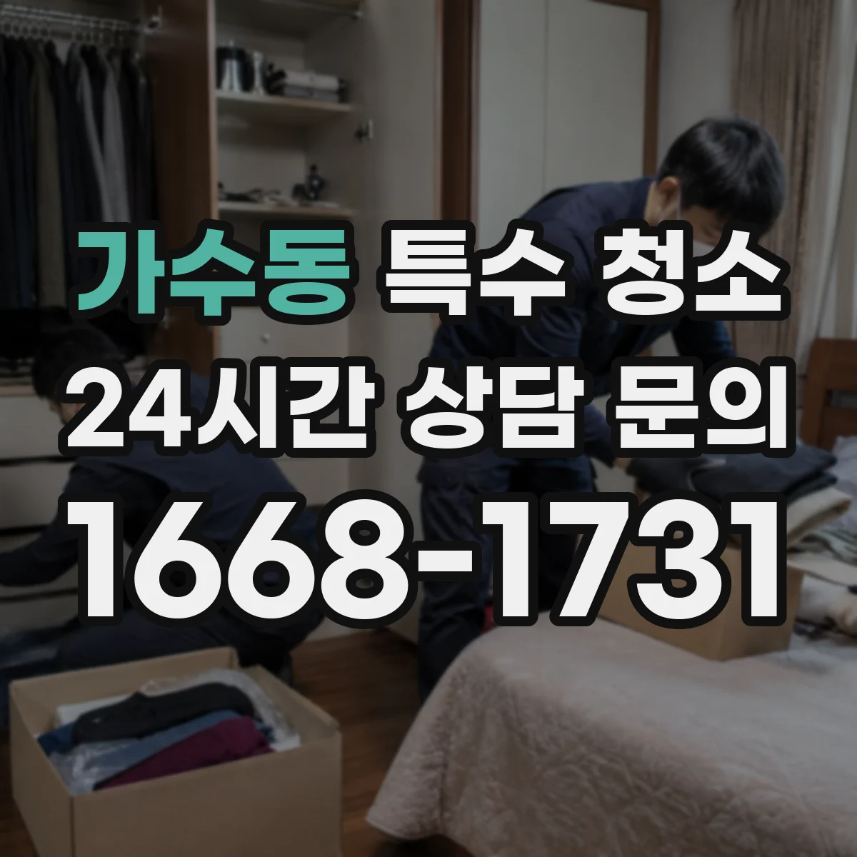 가수동 특수 청소