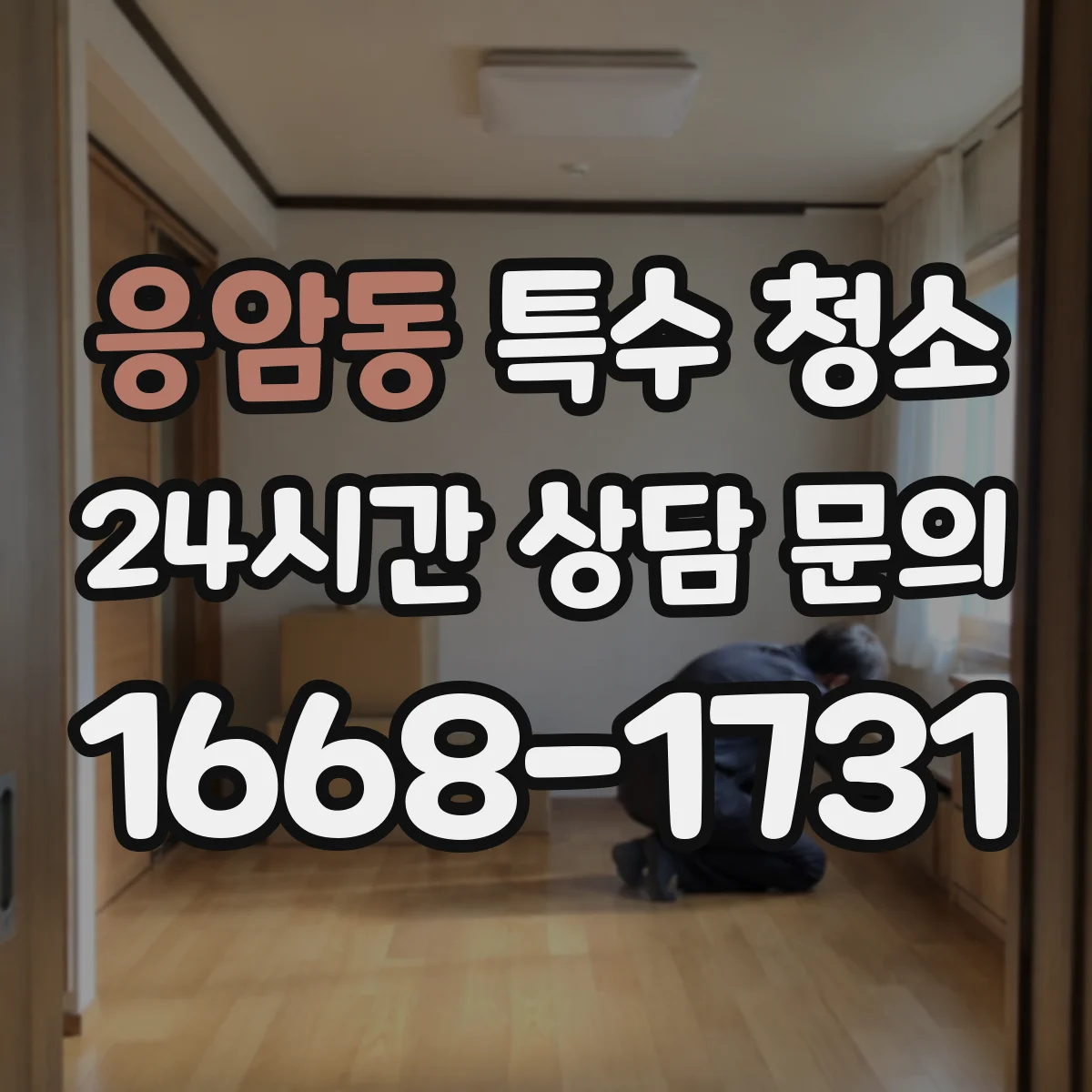 응암동 특수 청소