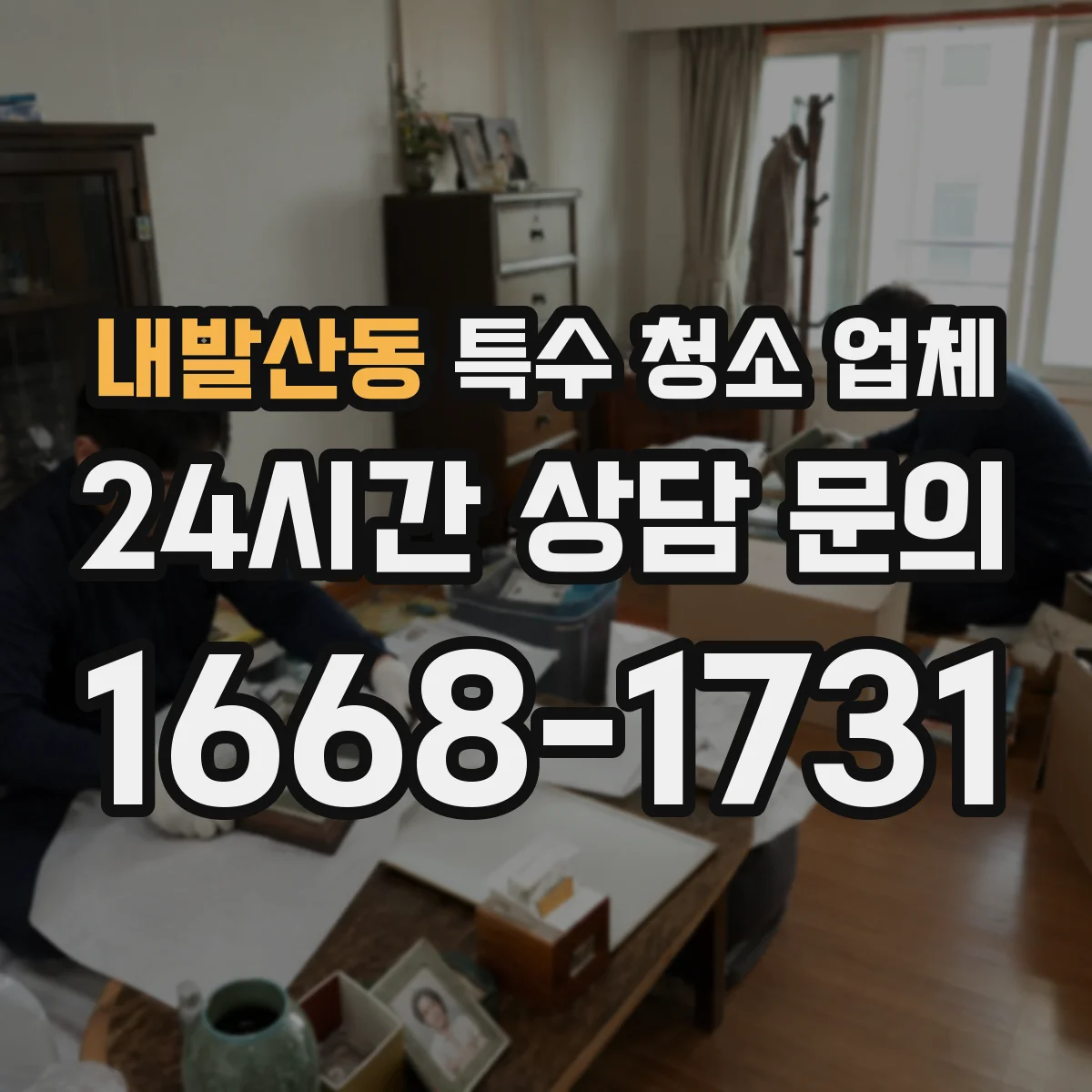 내발산동 특수 청소 업체