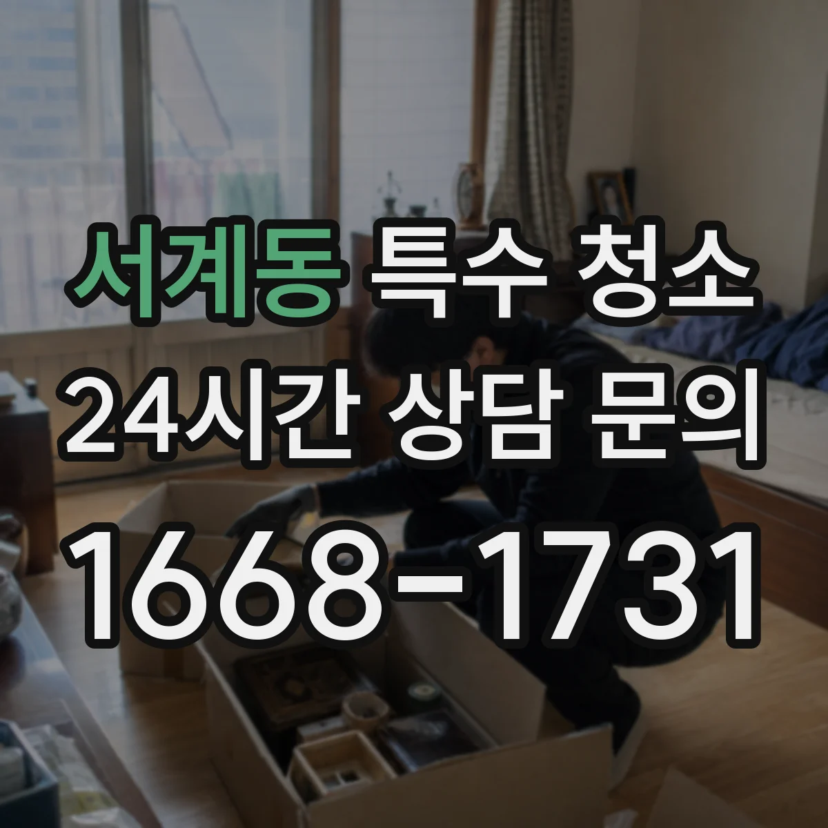 서계동 특수 청소