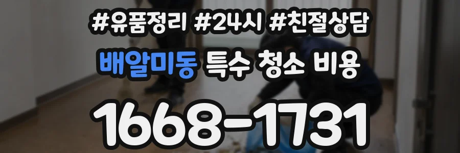 배알미동 특수 청소 비용