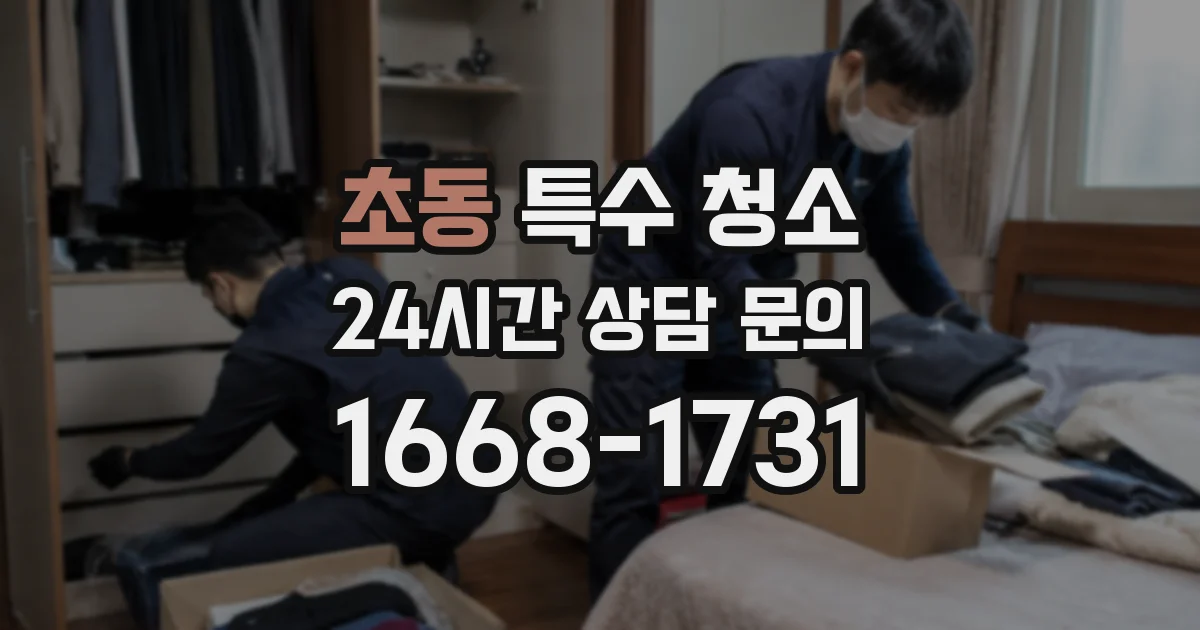 초동 특수 청소
