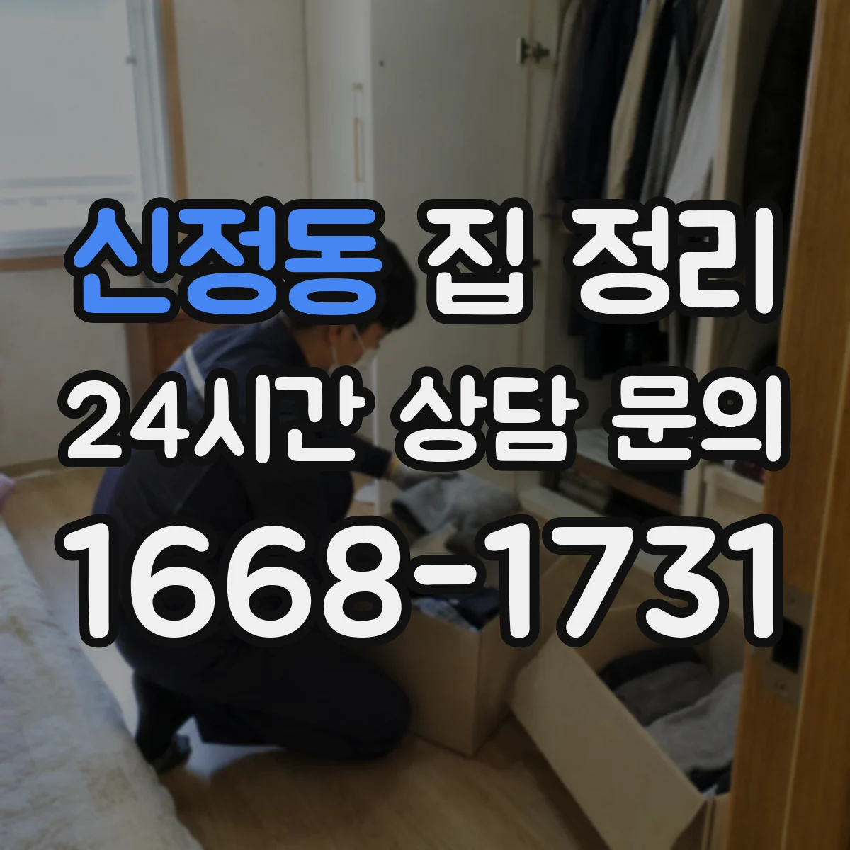 신정동 집 정리