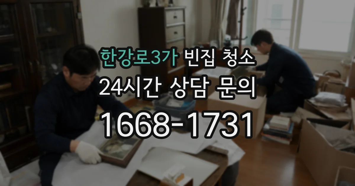 한강로3가 빈집 청소