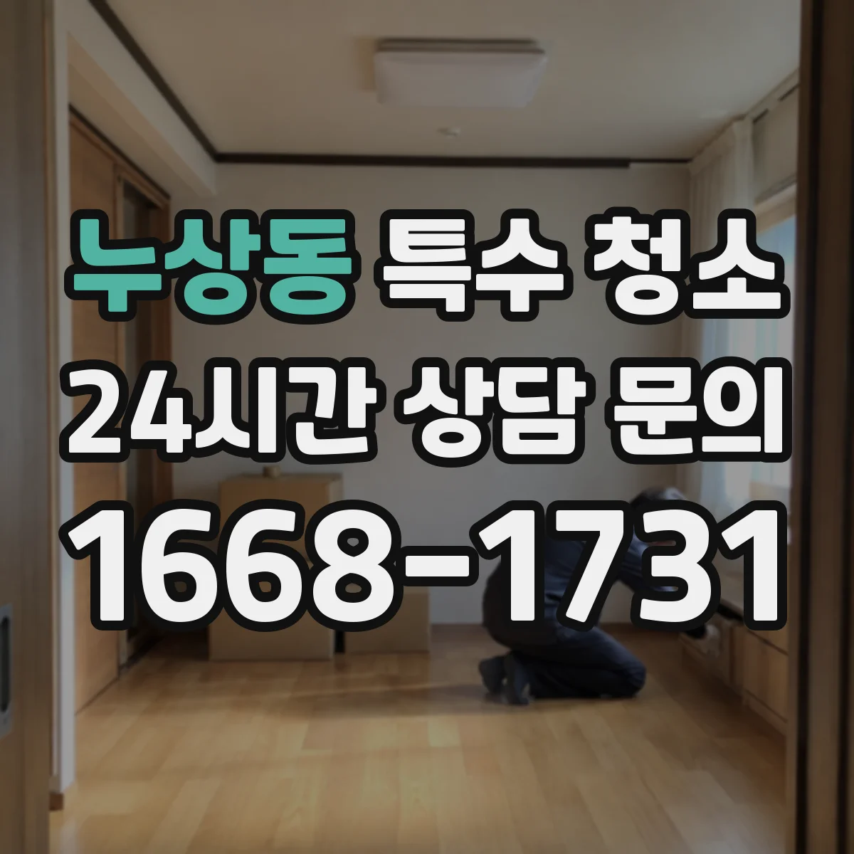 누상동 특수 청소