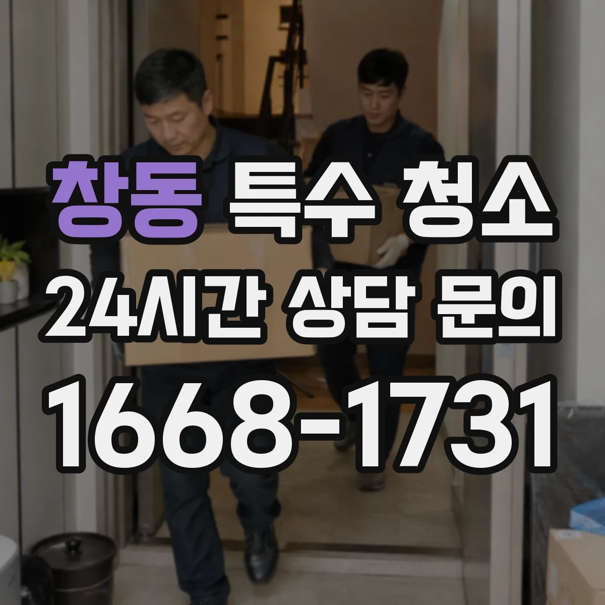 창동 특수 청소