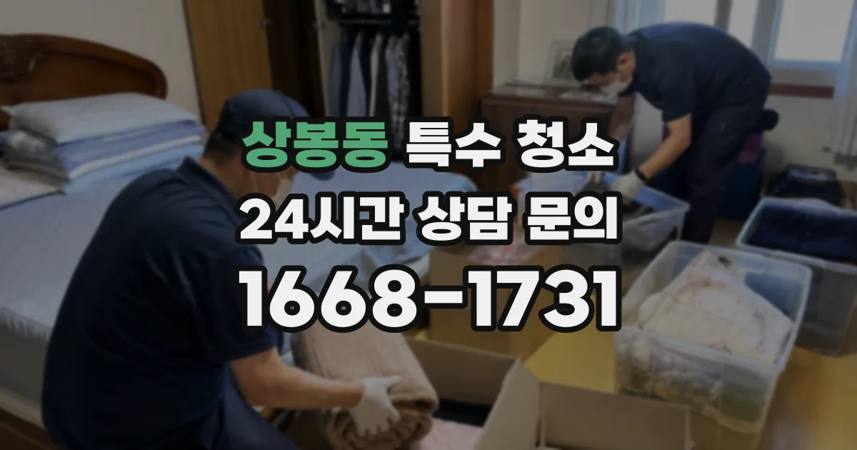 상봉동 특수 청소