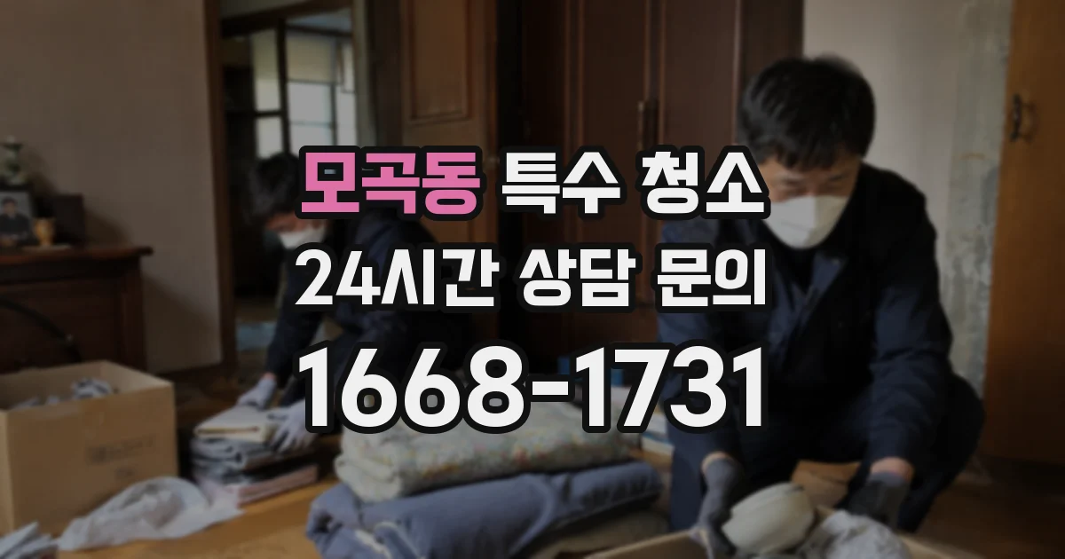 모곡동 특수 청소