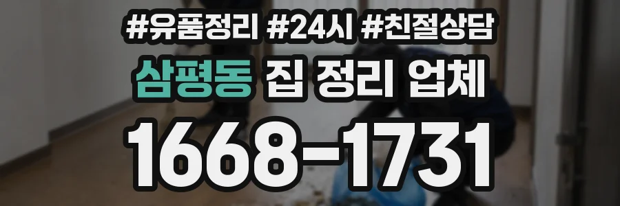 삼평동 집 정리 업체