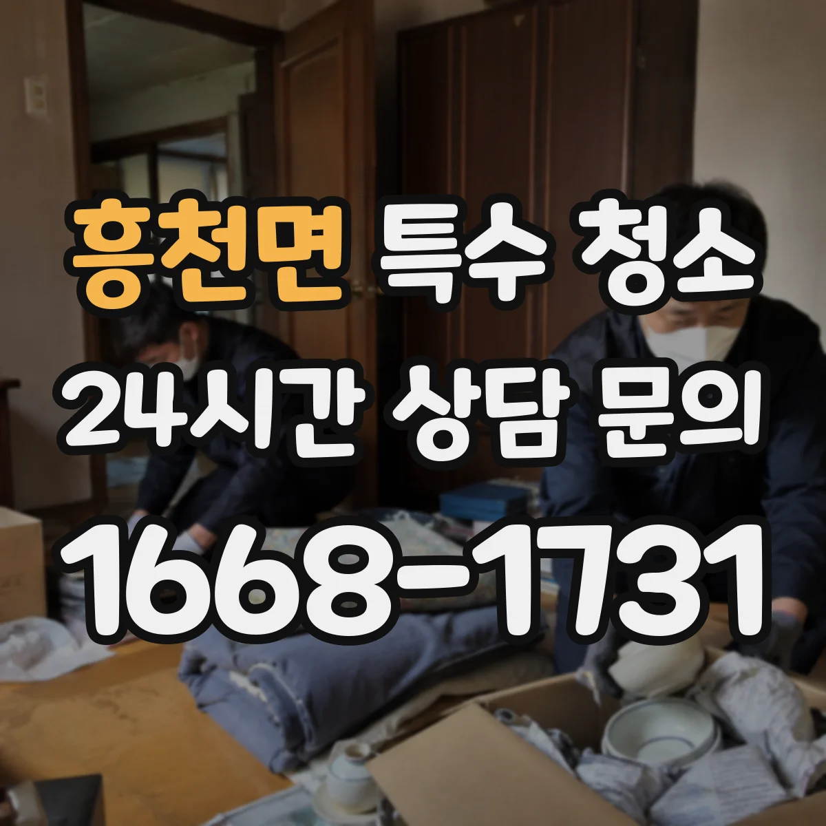 흥천면 특수 청소
