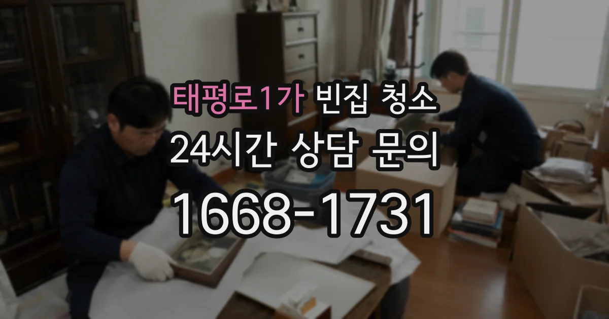태평로1가 빈집 청소