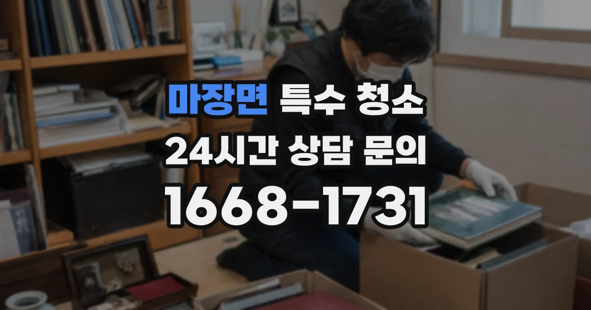 마장면 특수 청소