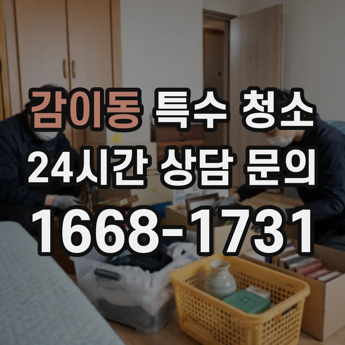 감이동 특수 청소