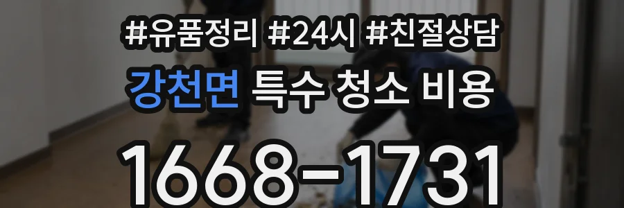 강천면 특수 청소 비용