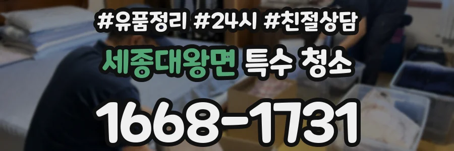 세종대왕면 특수 청소