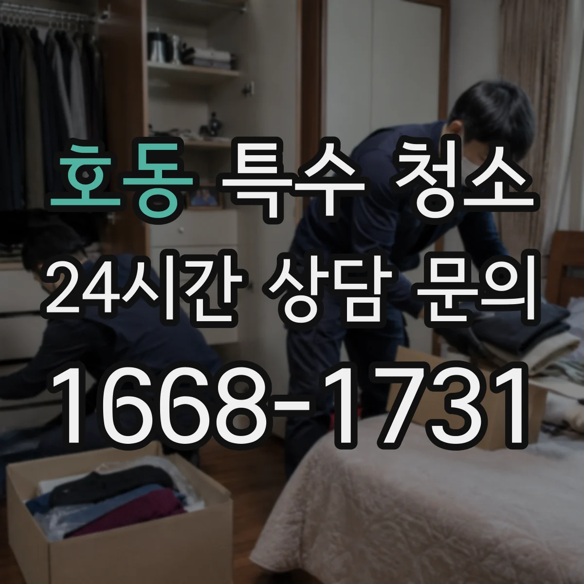 호동 특수 청소
