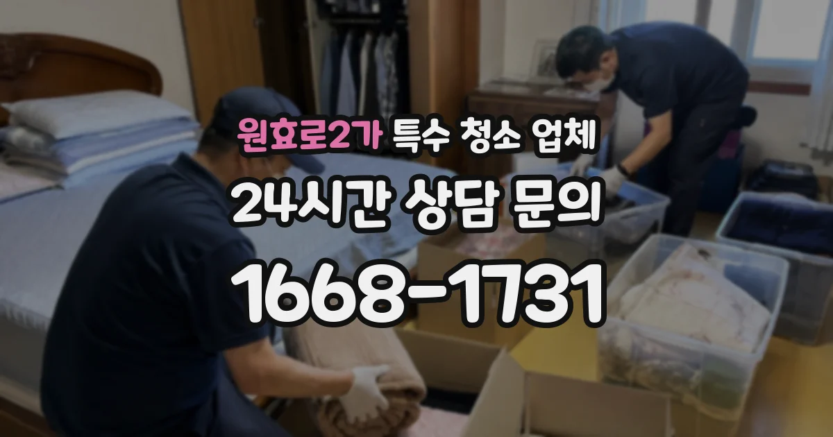 원효로2가 특수 청소 업체