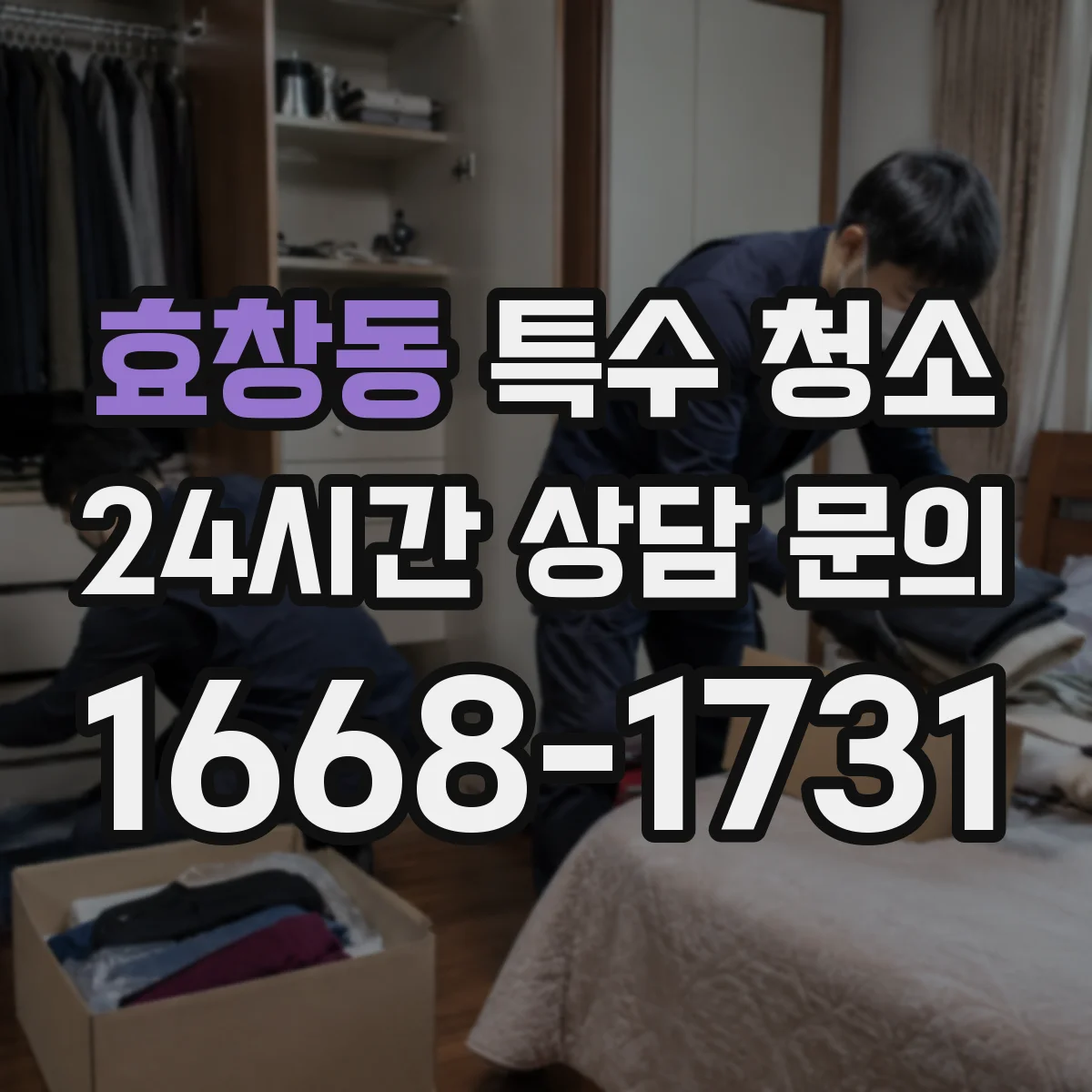효창동 특수 청소