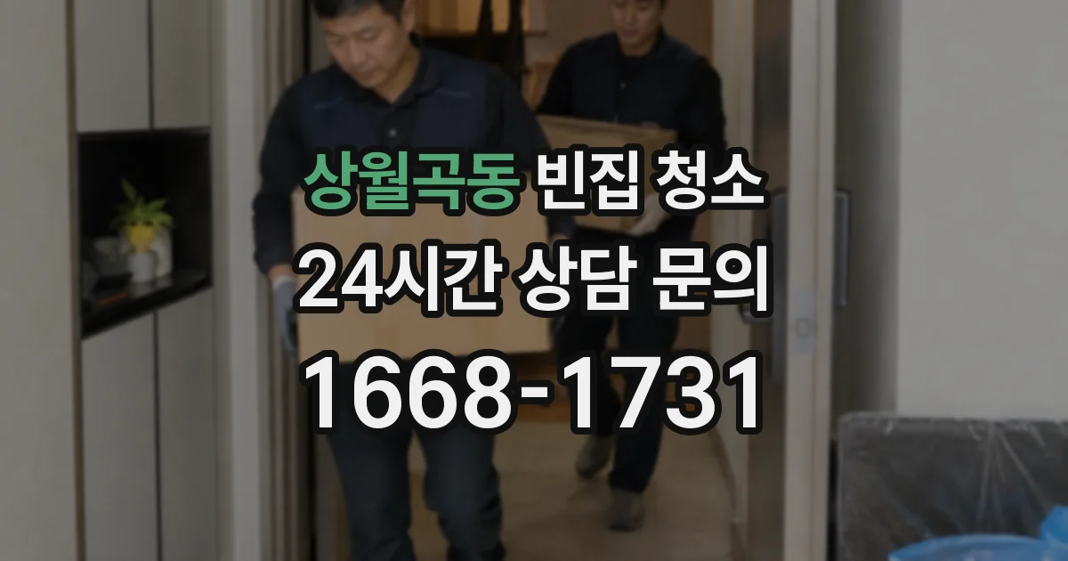 상월곡동 빈집 청소