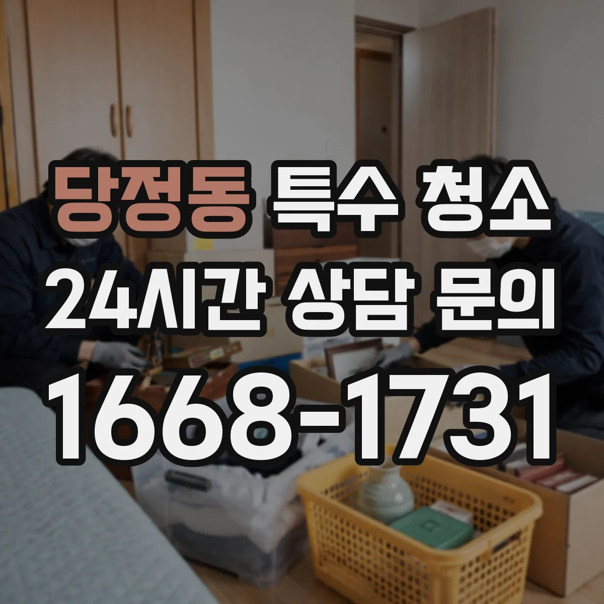 당정동 특수 청소