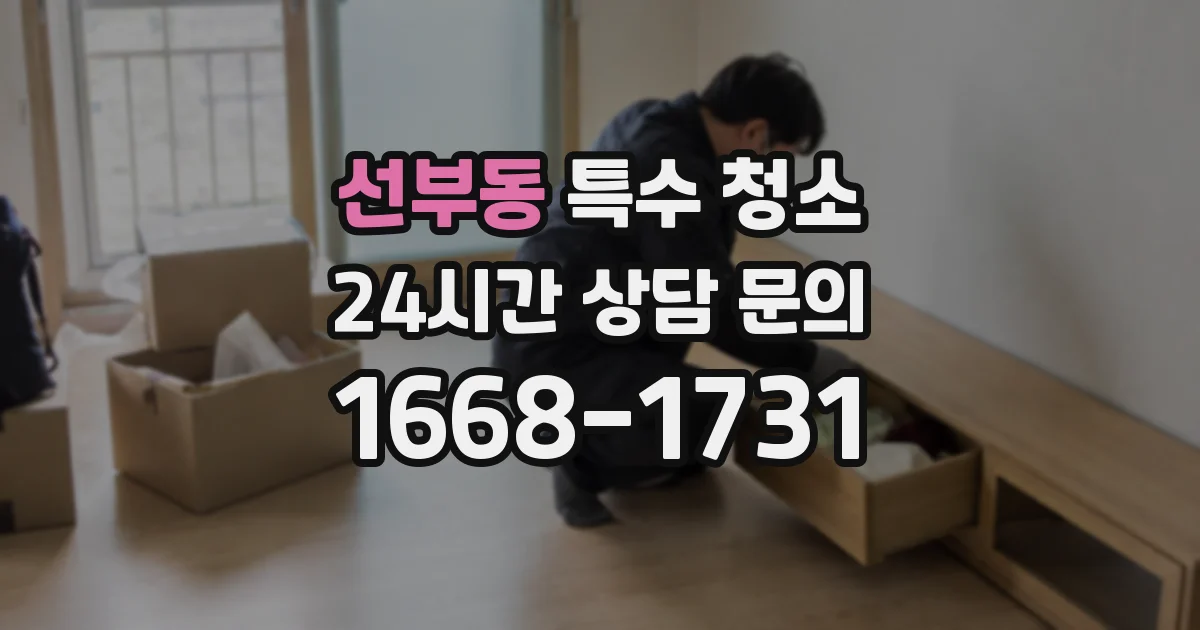 선부동 특수 청소