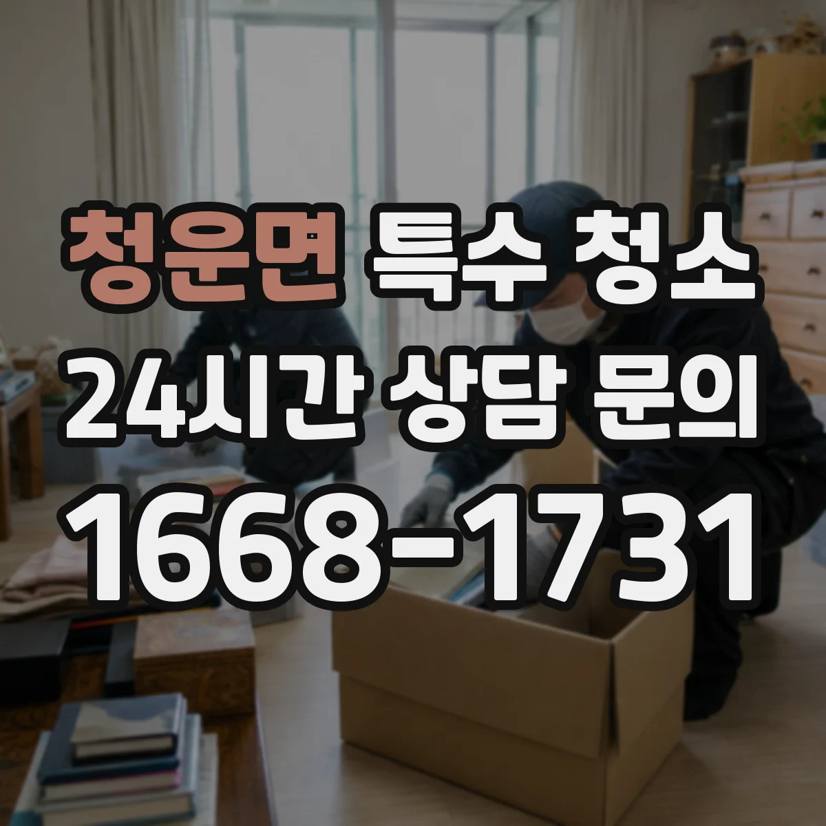 청운면 특수 청소