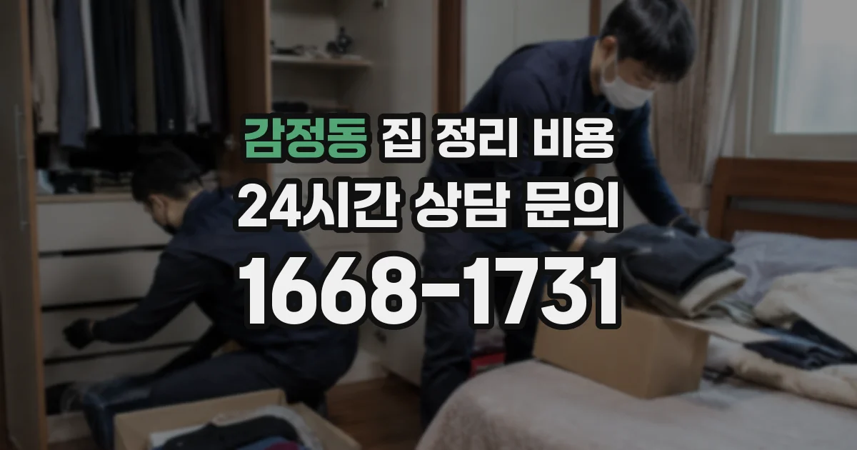 감정동 집 정리 비용