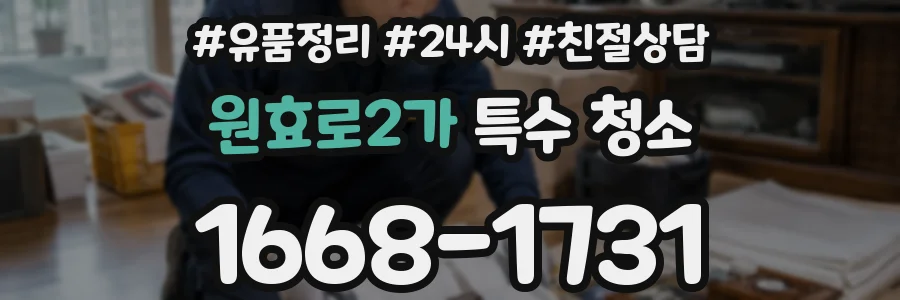 원효로2가 특수 청소