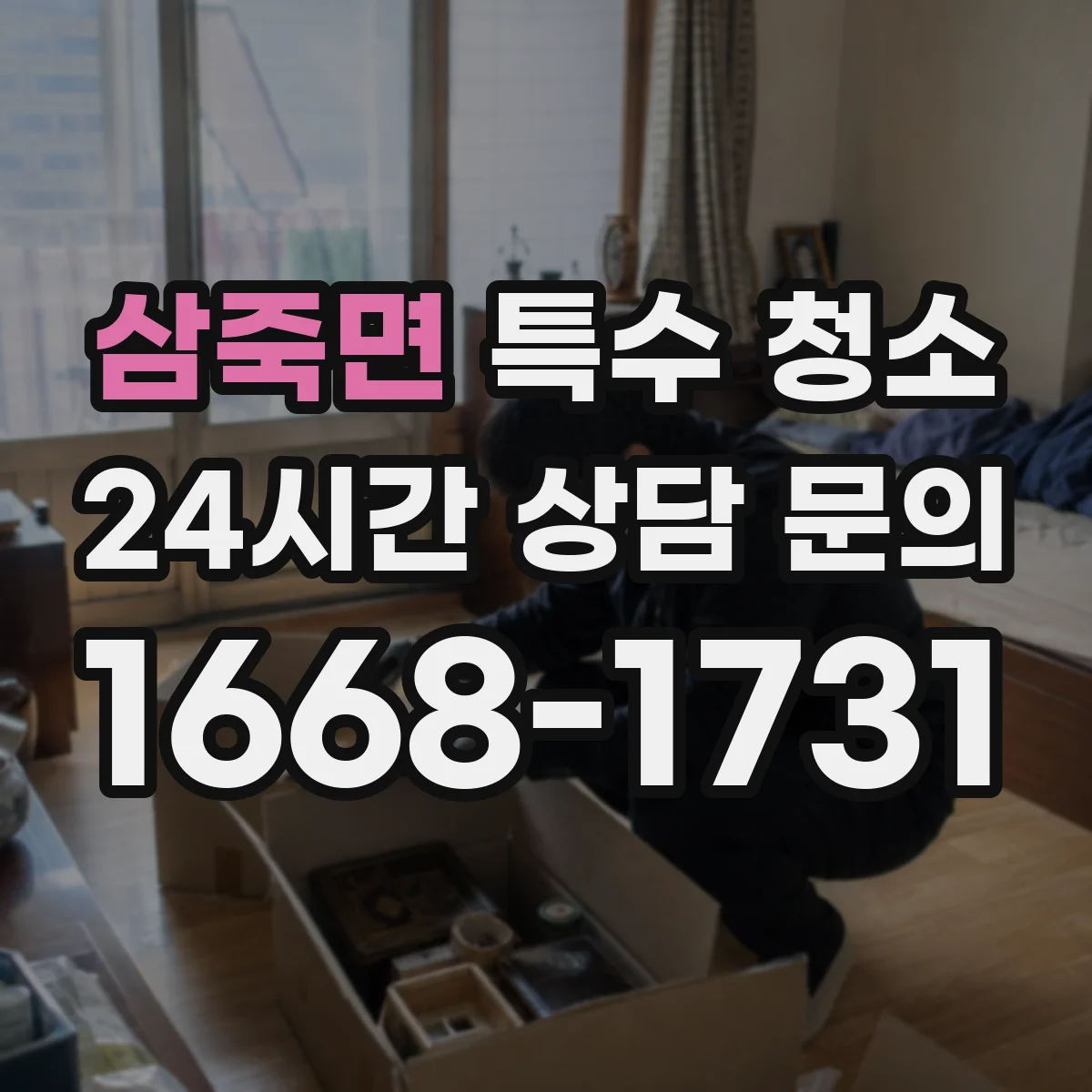 삼죽면 특수 청소