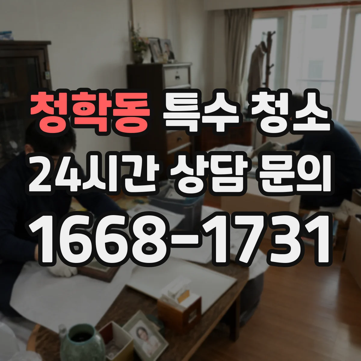 청학동 특수 청소