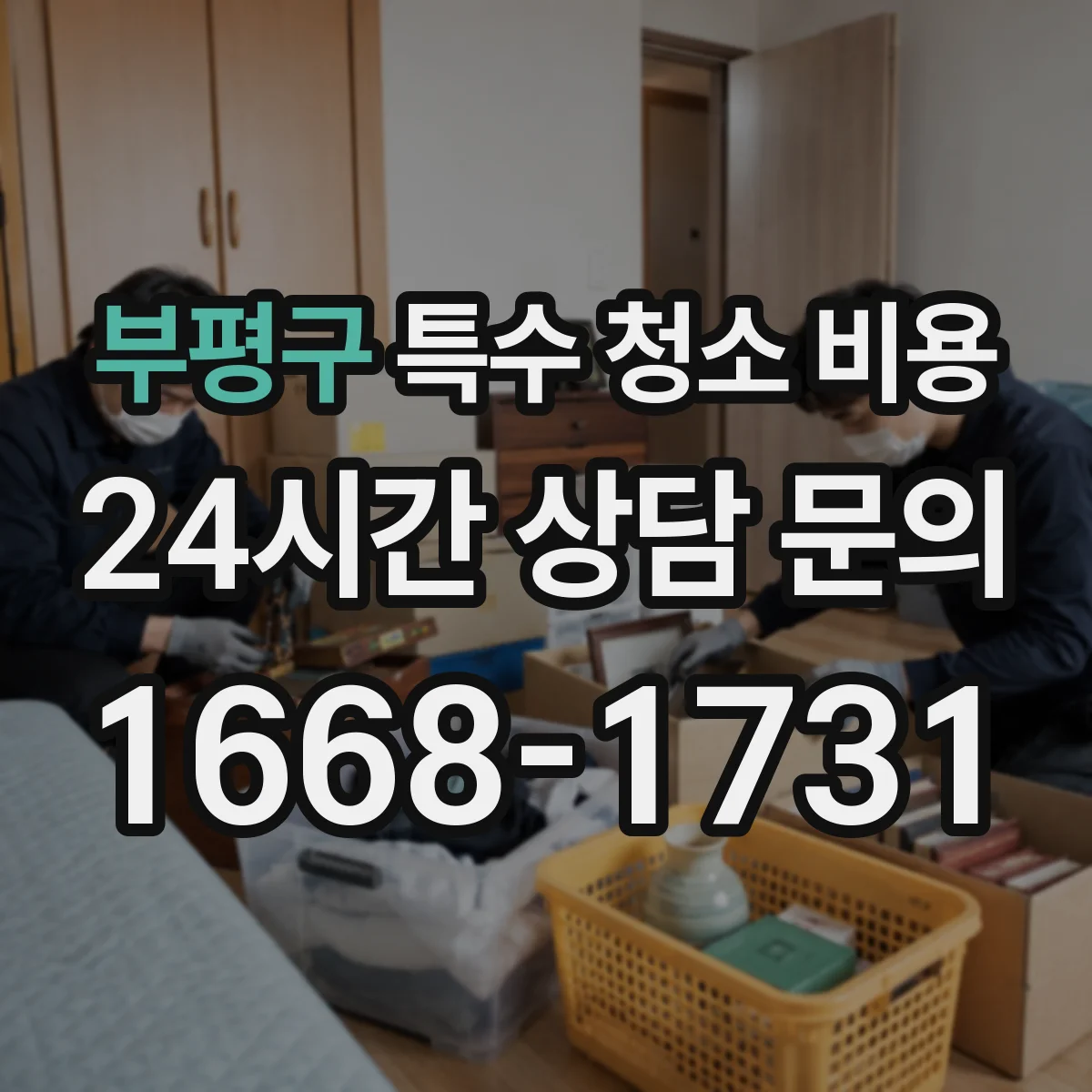 부평구 특수 청소 비용