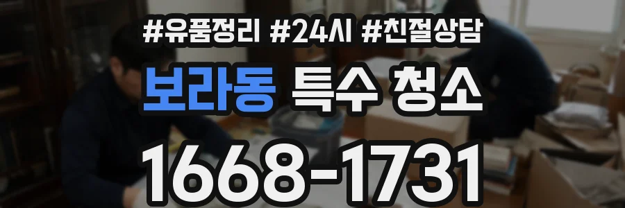 보라동 특수 청소