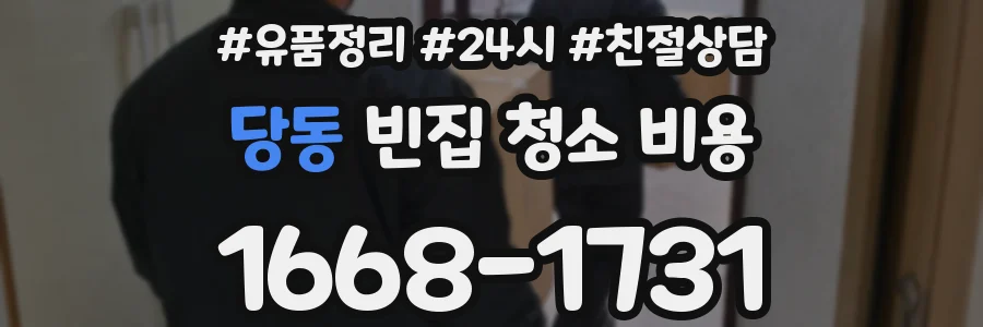 당동 빈집 청소 비용