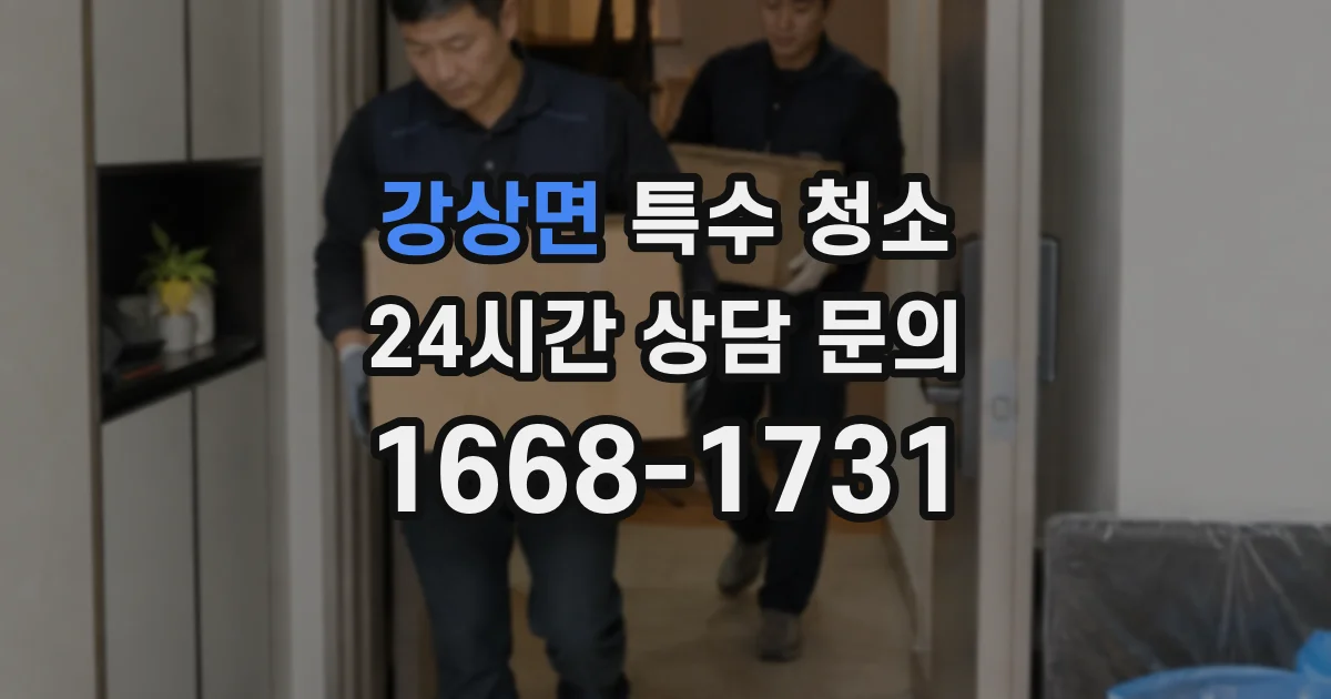 강상면 특수 청소