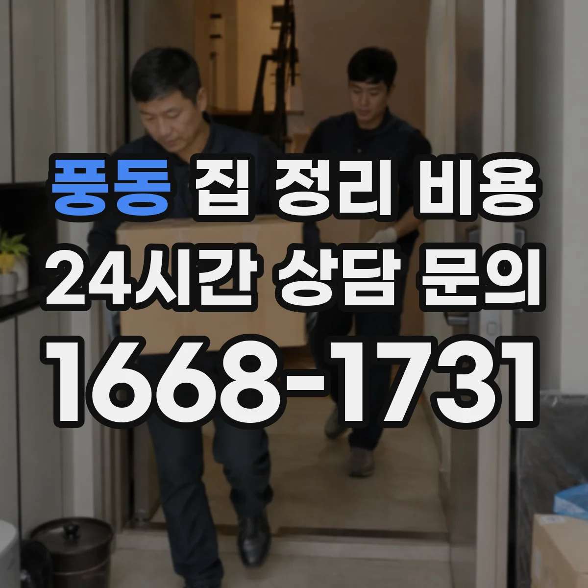 풍동 집 정리 비용