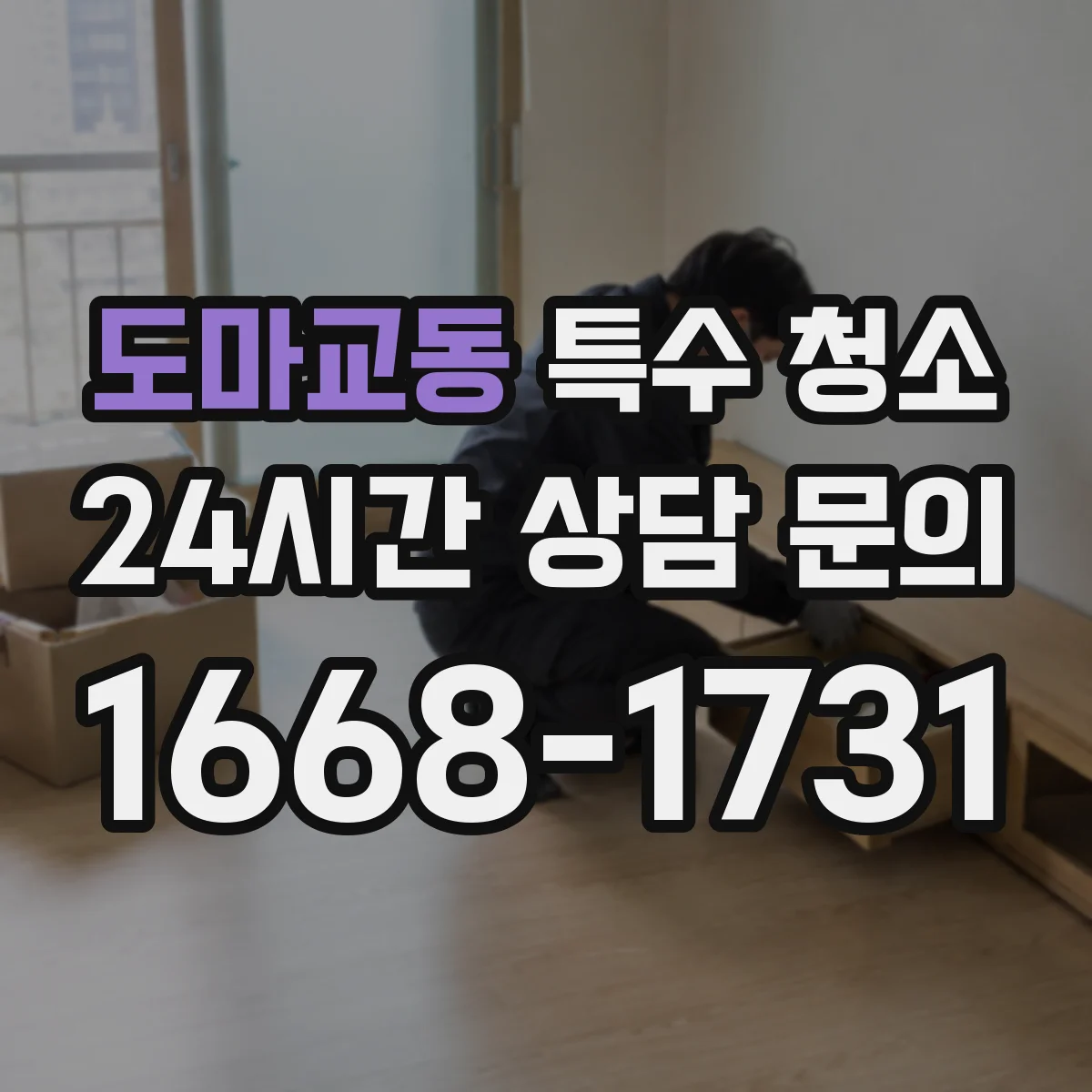 도마교동 특수 청소