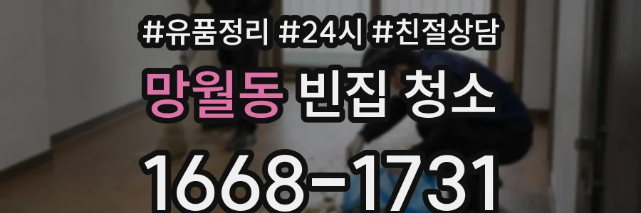 망월동 빈집 청소