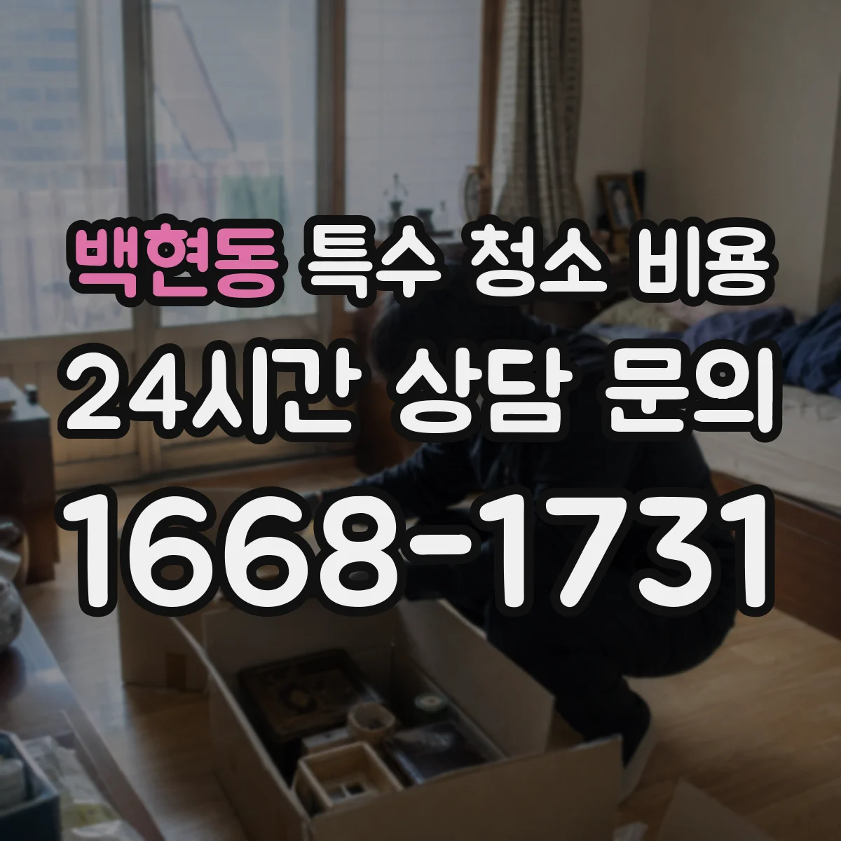 백현동 특수 청소 비용