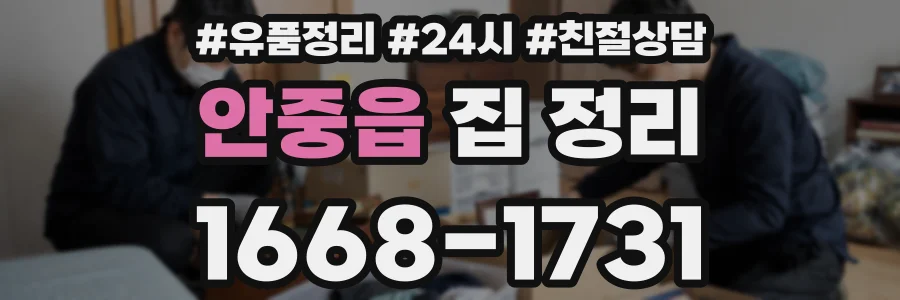 안중읍 집 정리