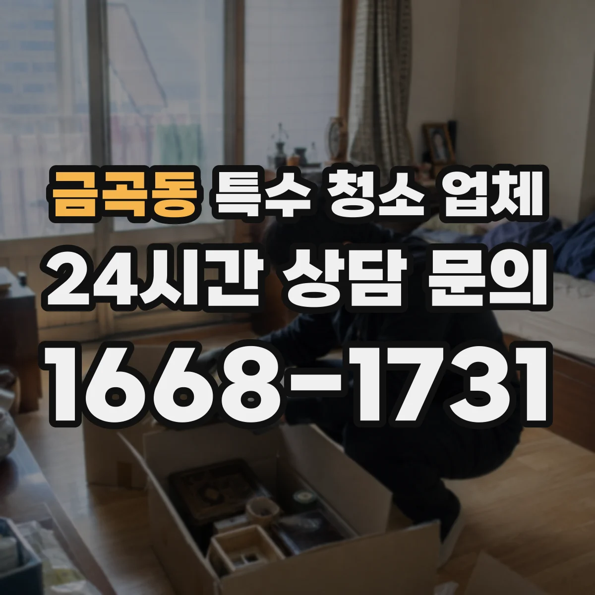 금곡동 특수 청소 업체