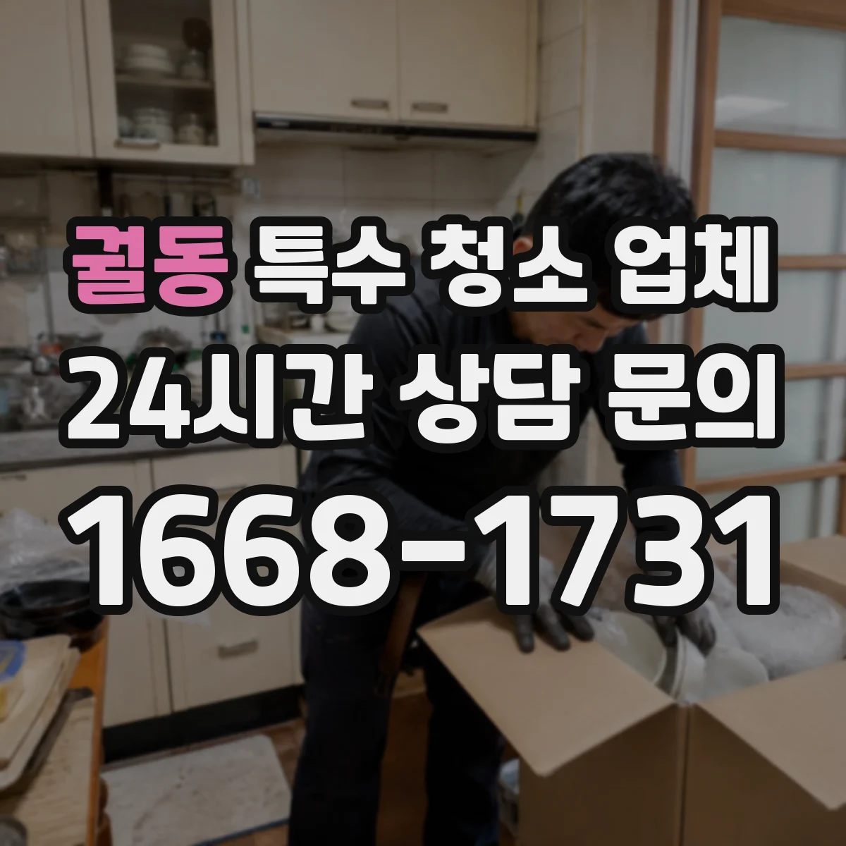 궐동 특수 청소 업체